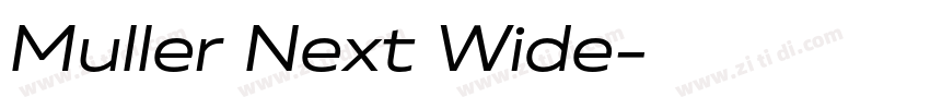 Muller Next Wide字体转换